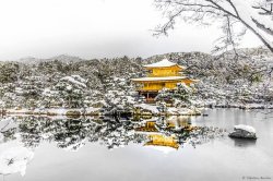 Kinkakuji Temple in the Snow