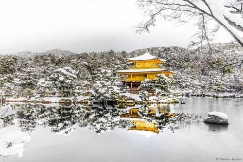 Kinkakuji Temple in the Snow