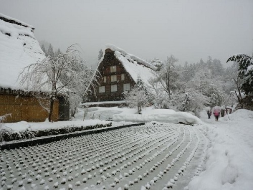 Shirakawa-go, in the snow