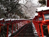 Kifune Shrine