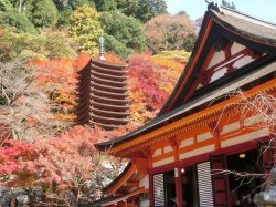 Tanzan Shrine