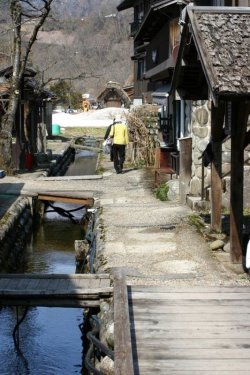 A path in Shirakawa-go