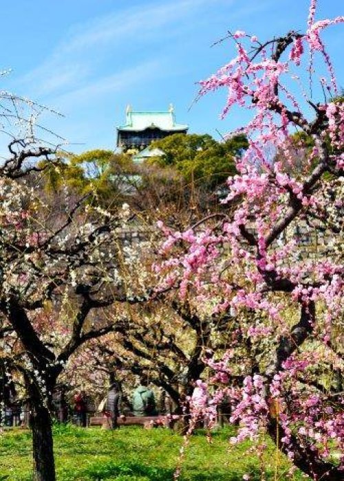 Osaka Castle