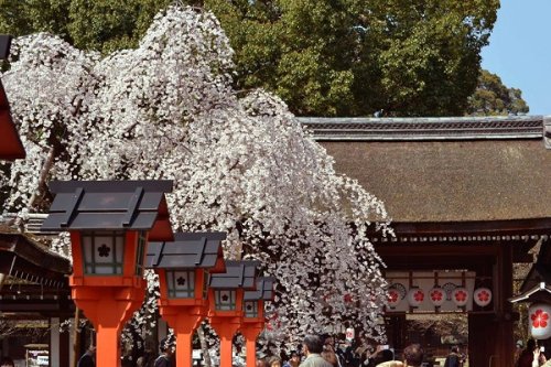 Hirano Shrine