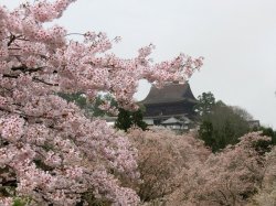 Kinpusenji Temple