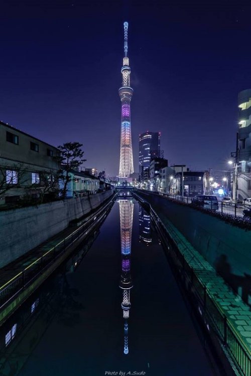 Skytree