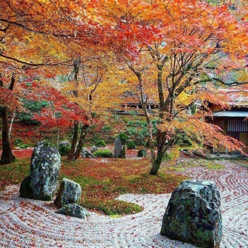 Zen Temple