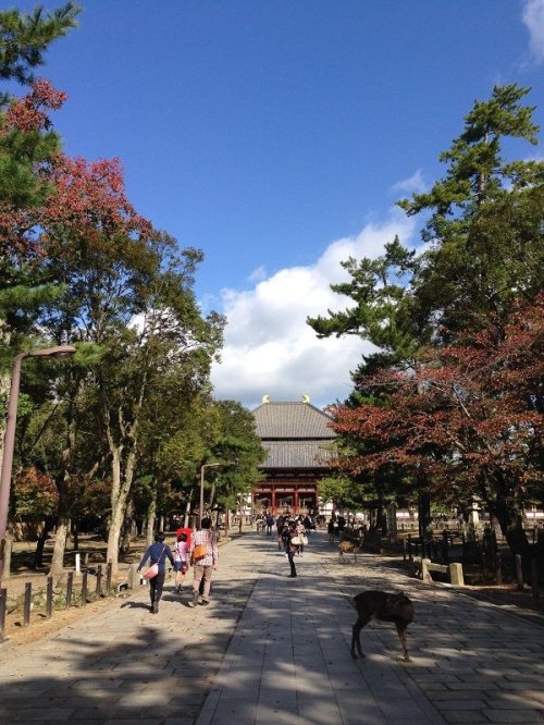 Todaiji Temple