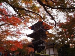 Shinnyodo Temple