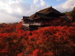 Kiyomizu Temple!!