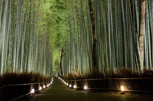 Arashiyama