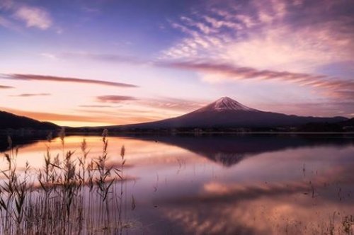 Mt. Fuji