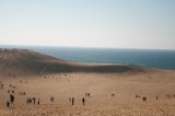 Tottori Sand Dunes