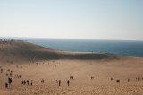 Tottori Sand Dunes