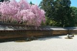 Ryoanji Temple