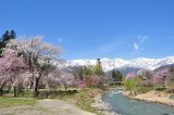 Hakuba Village