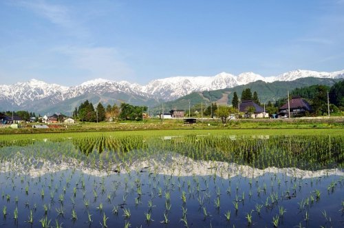 One early summer day