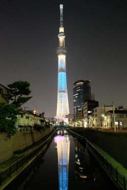 Skytree!