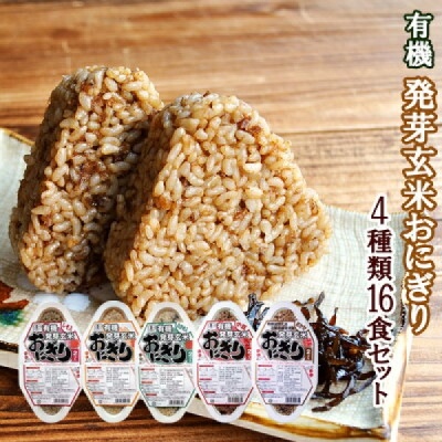 Organic Germinated Brown Onigiri (Rice Balls) | Set of 5 Different Kinds