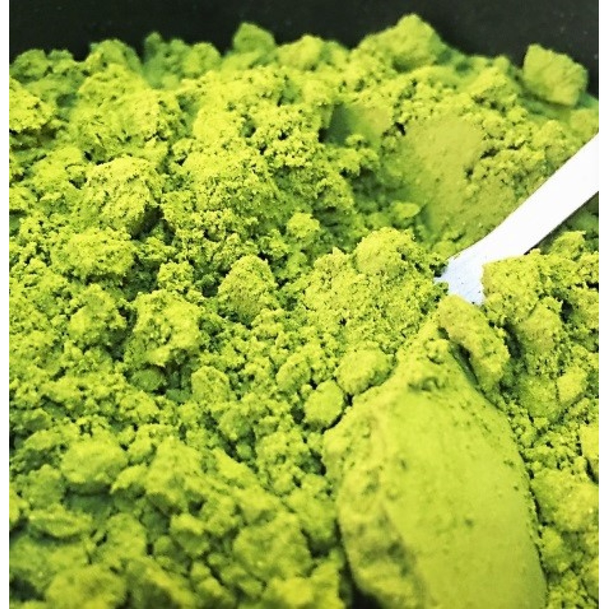 Photo1: [OEM] Culinary Matcha Green Tea Powder Private Labeling Available