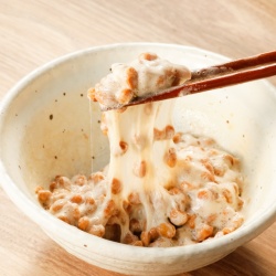 Natto and the Immune System